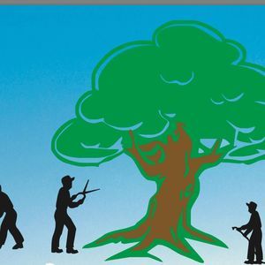 Meet your Posher, Los tres hermanos